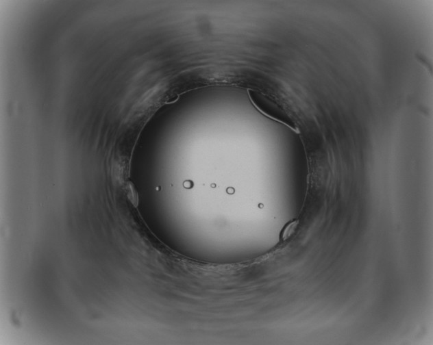 X0000091570044200708271208
