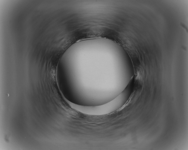 X0000091570045200708271208
