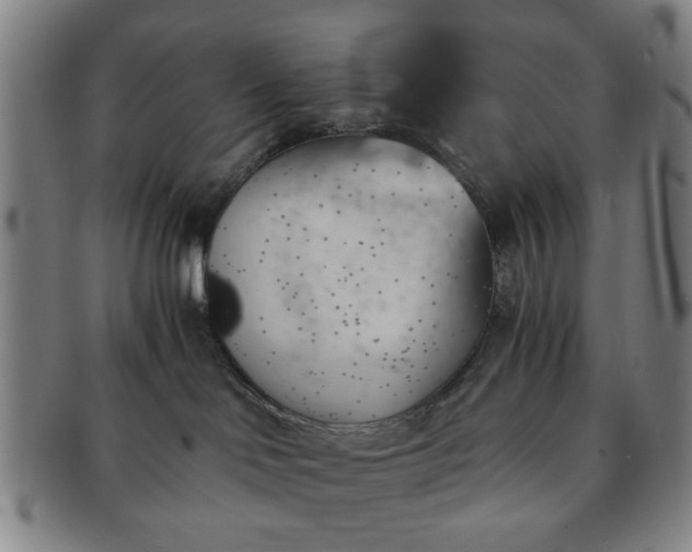 X0000091570046200708271208