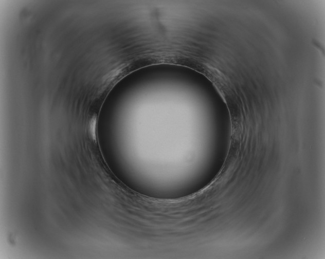 X0000091570047200708271208