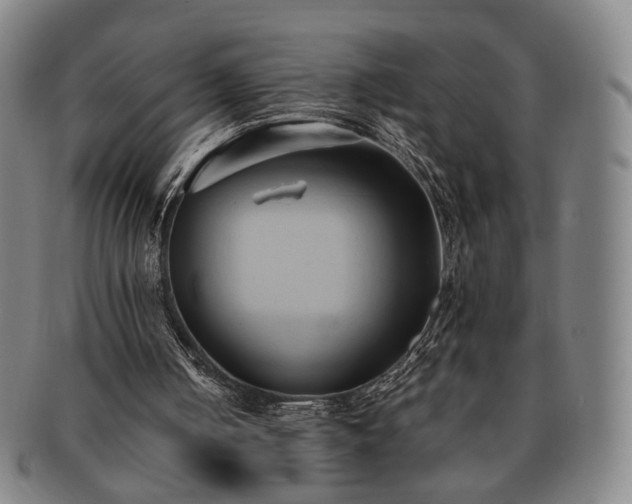 X0000091570050200708271207