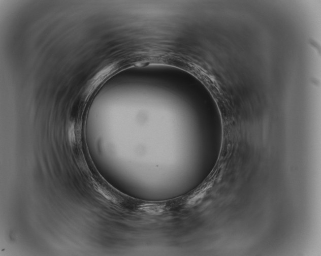 X0000091570051200708271207