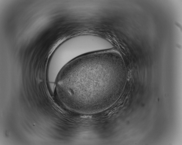 X0000091570052200708271207