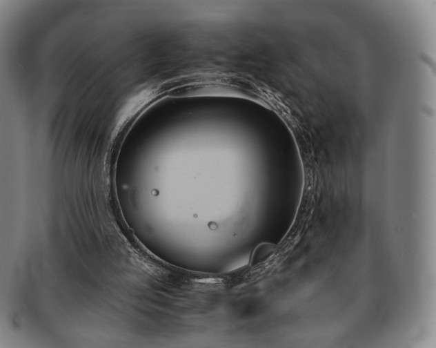 X0000091570053200708271207