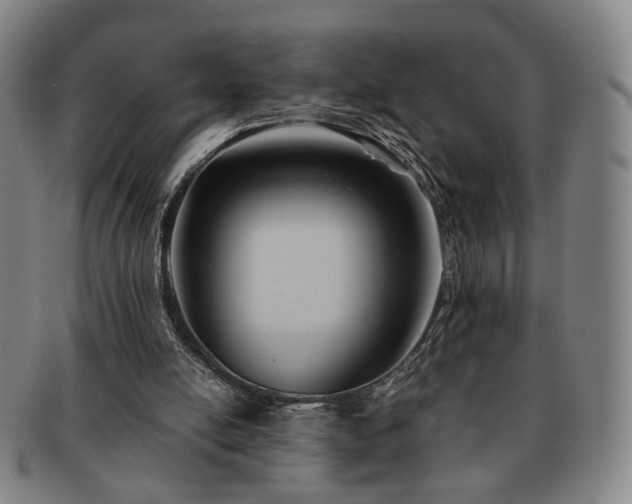 X0000091570054200708271207