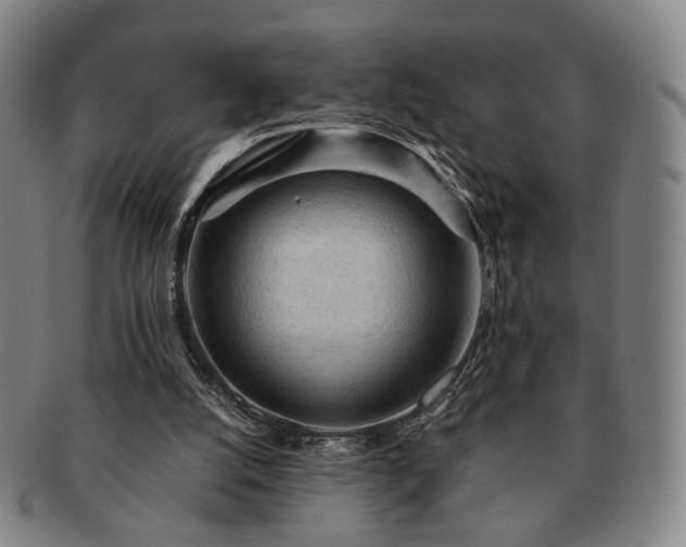 X0000091570056200708271207