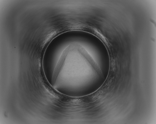 X0000091570059200708271208