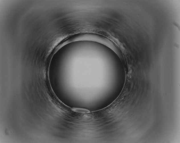 X0000091570060200708271208