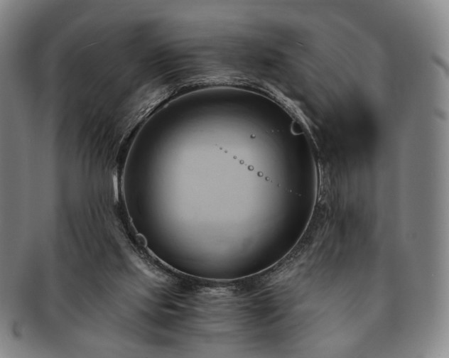 X0000091570061200708271208