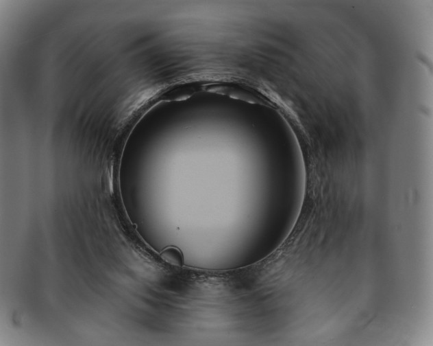 X0000091570062200708271208