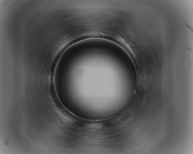 X0000091570063200708271208