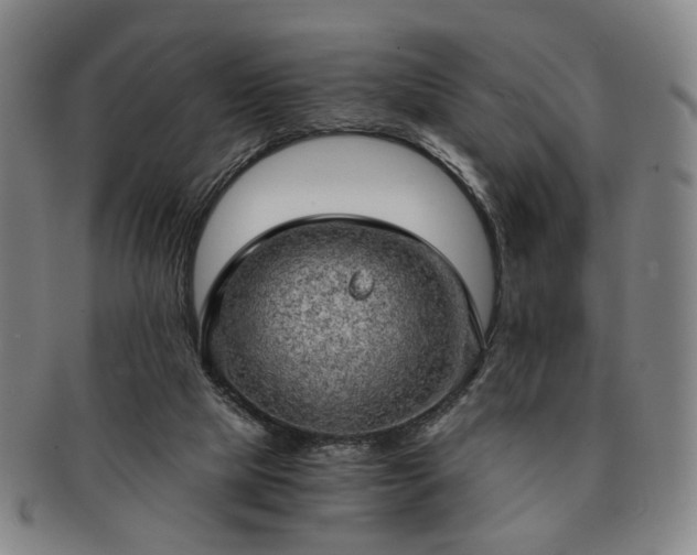 X0000091570065200708271208