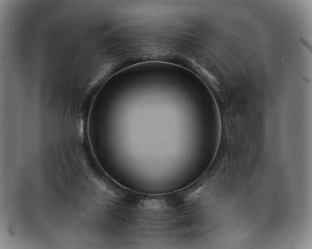 X0000091570067200708271208