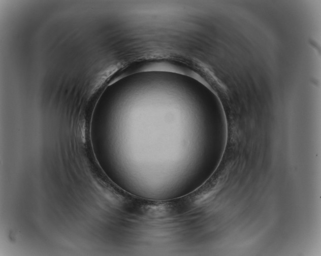 X0000091570068200708271208