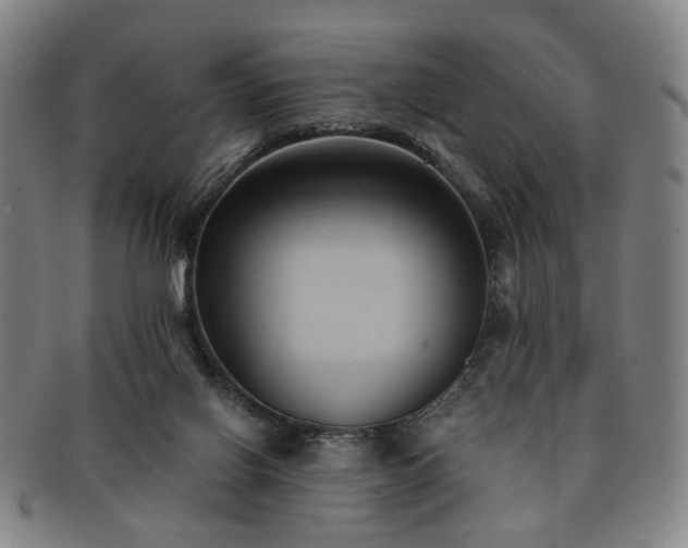 X0000091570070200708271208