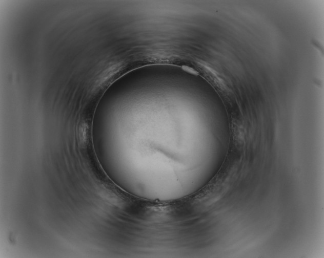 X0000091570071200708271208