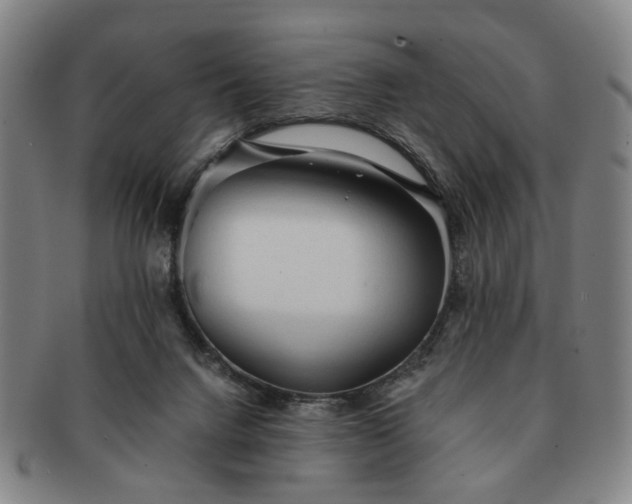 X0000091570072200708271208