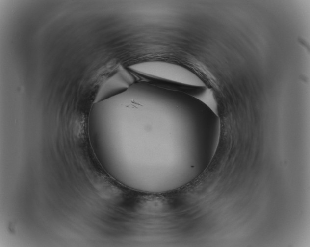X0000091570073200708271208