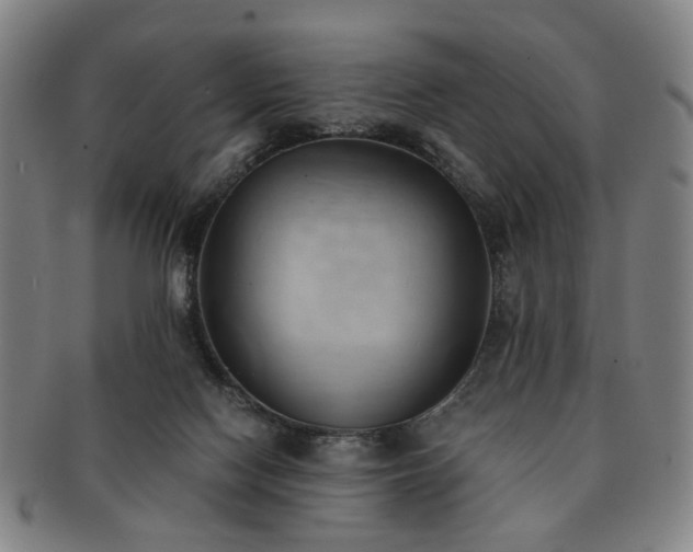 X0000091570074200708271208