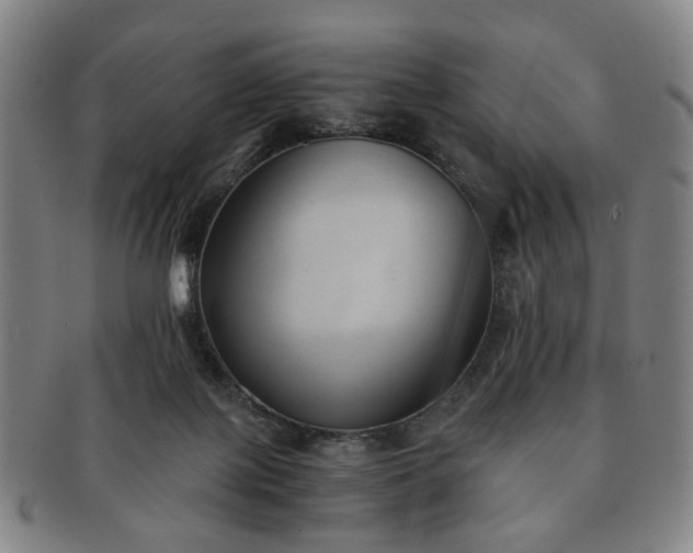 X0000091570075200708271208