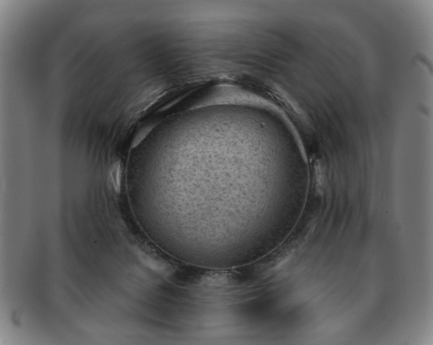 X0000091570076200708271208