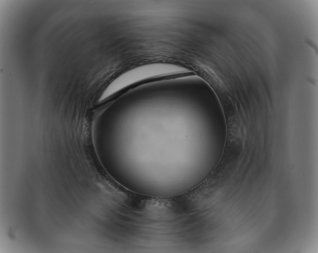 X0000091570077200708271208