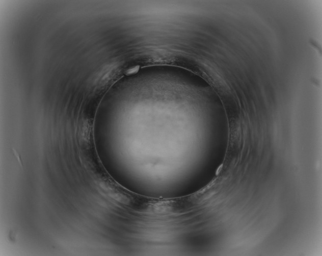 X0000091570078200708271208