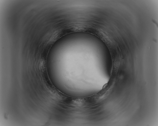 X0000091570079200708271208