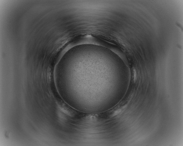 X0000091570080200708271208
