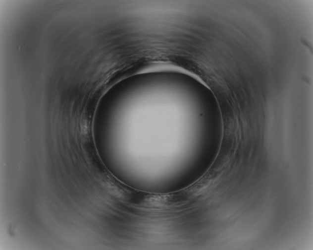 X0000091570084200708271208