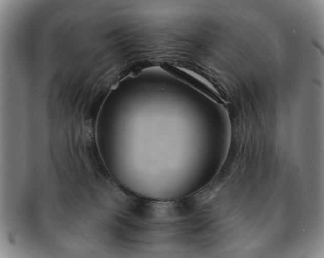 X0000091570085200708271208