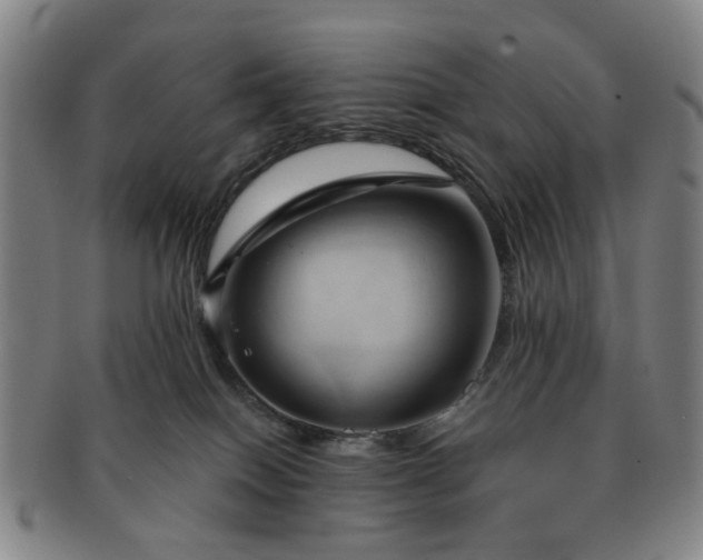 X0000091570086200708271208