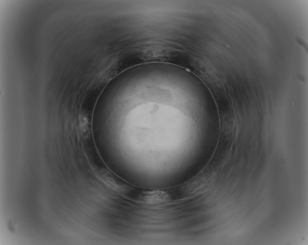 X0000091570087200708271208