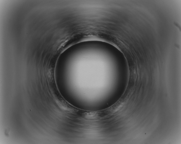 X0000091570088200708271208