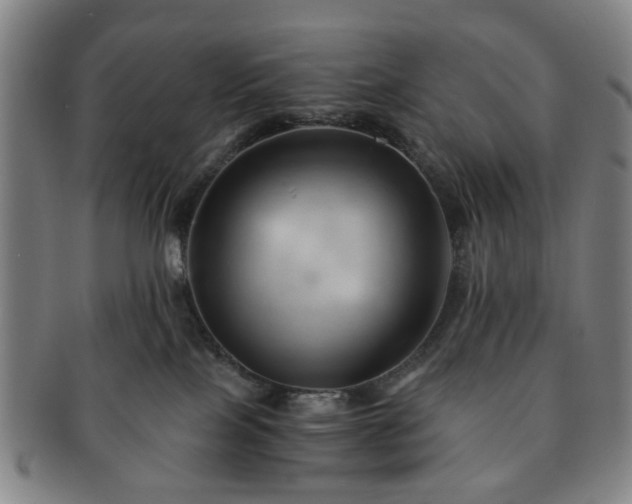 X0000091570089200708271208