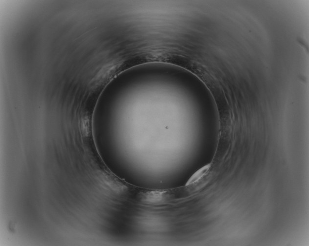 X0000091570090200708271208
