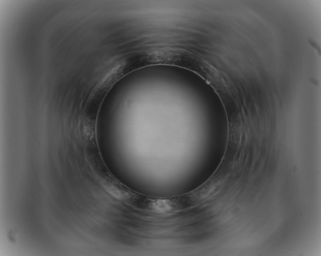 X0000091570091200708271208