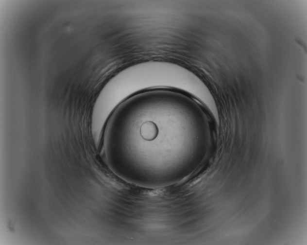 X0000091570092200708271208