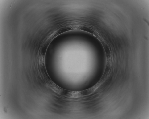 X0000091570093200708271208