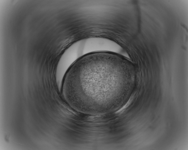 X0000091570094200708271208