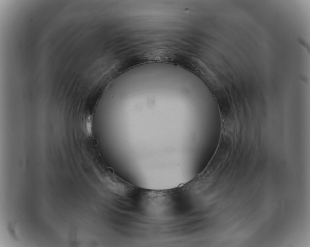 X0000091570095200708271208