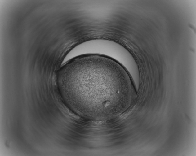 X0000091570096200708271208