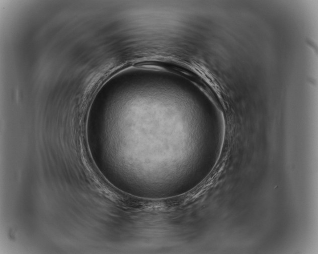 X0000091570097200708271207