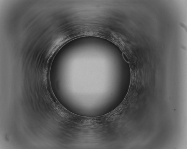 X0000091570098200708271207