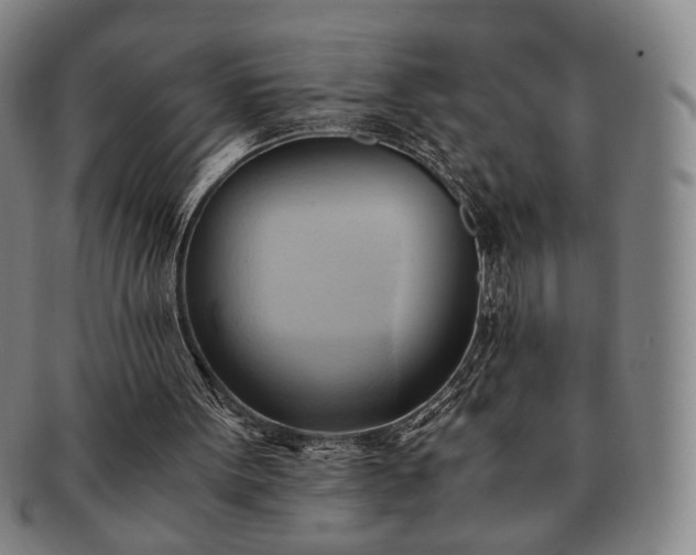X0000091570099200708271207
