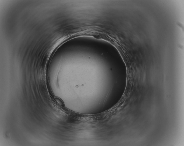 X0000091570100200708271207