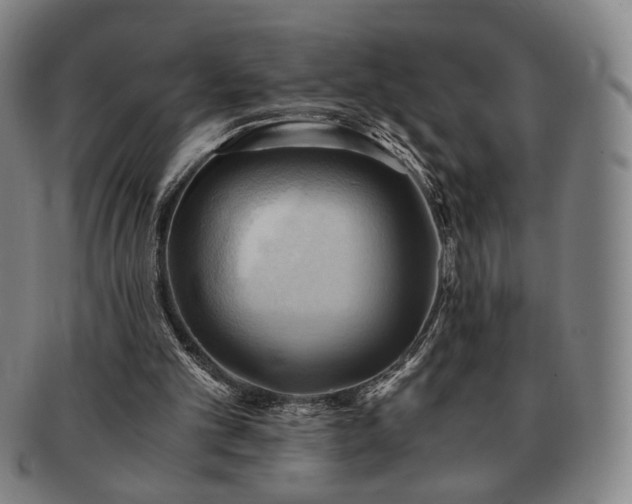 X0000091570101200708271207