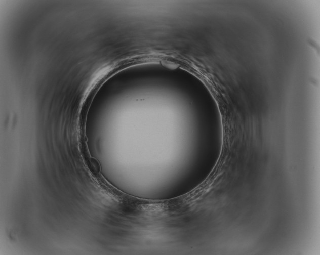 X0000091570102200708271207