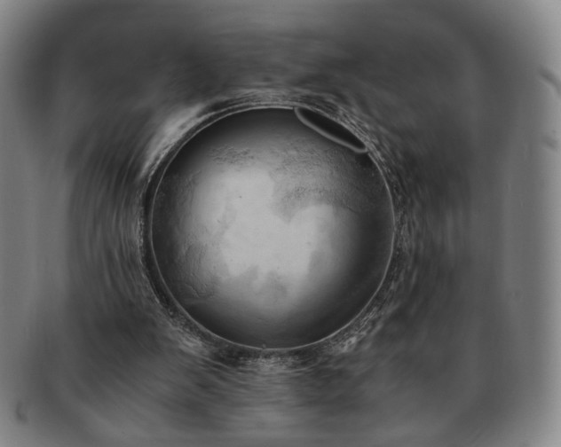 X0000091570103200708271207