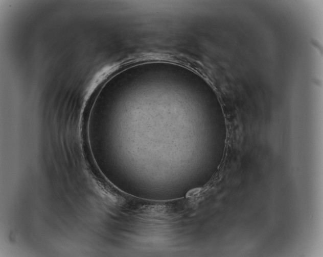 X0000091570104200708271207